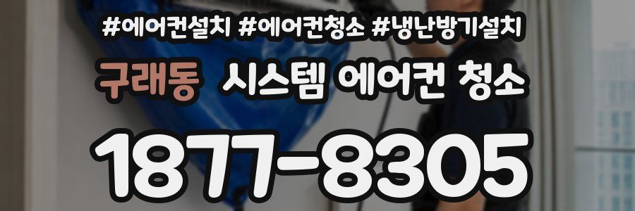 구래동 시스템 에어컨 청소