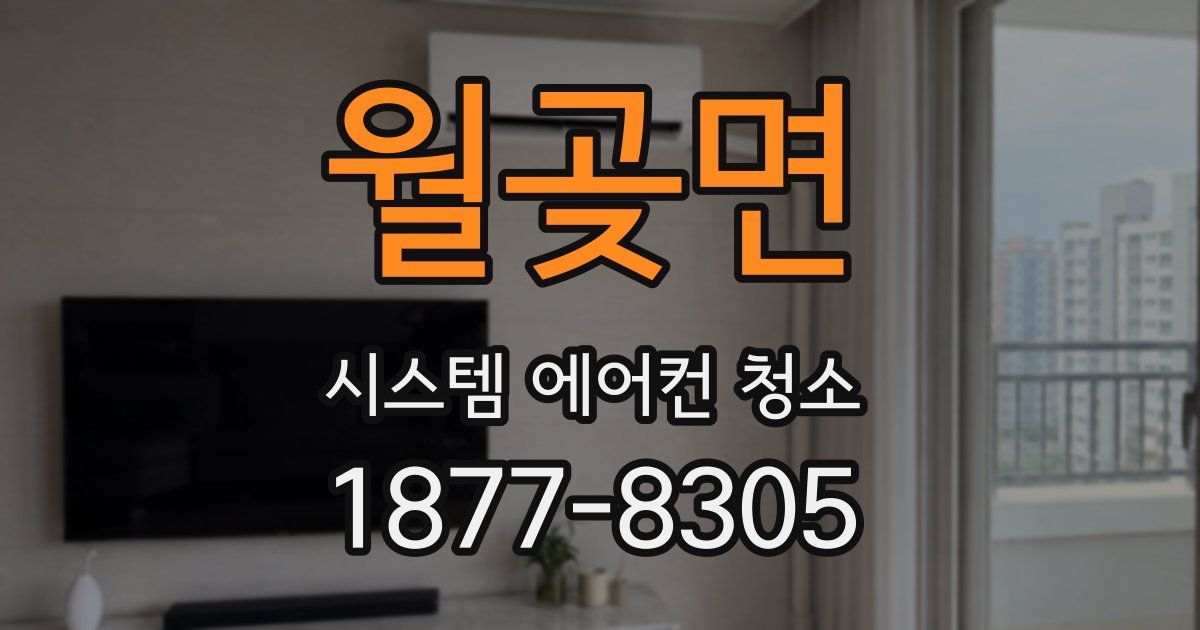 월곶면 시스템 에어컨 청소