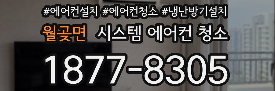 월곶면 시스템 에어컨 청소