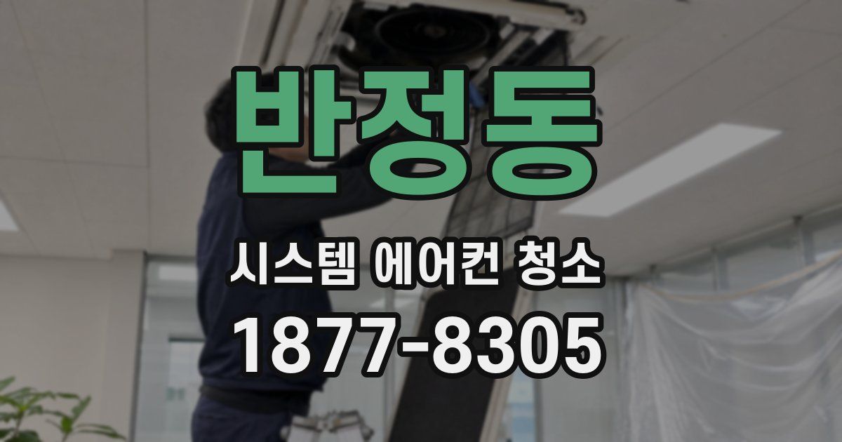 반정동 시스템 에어컨 청소