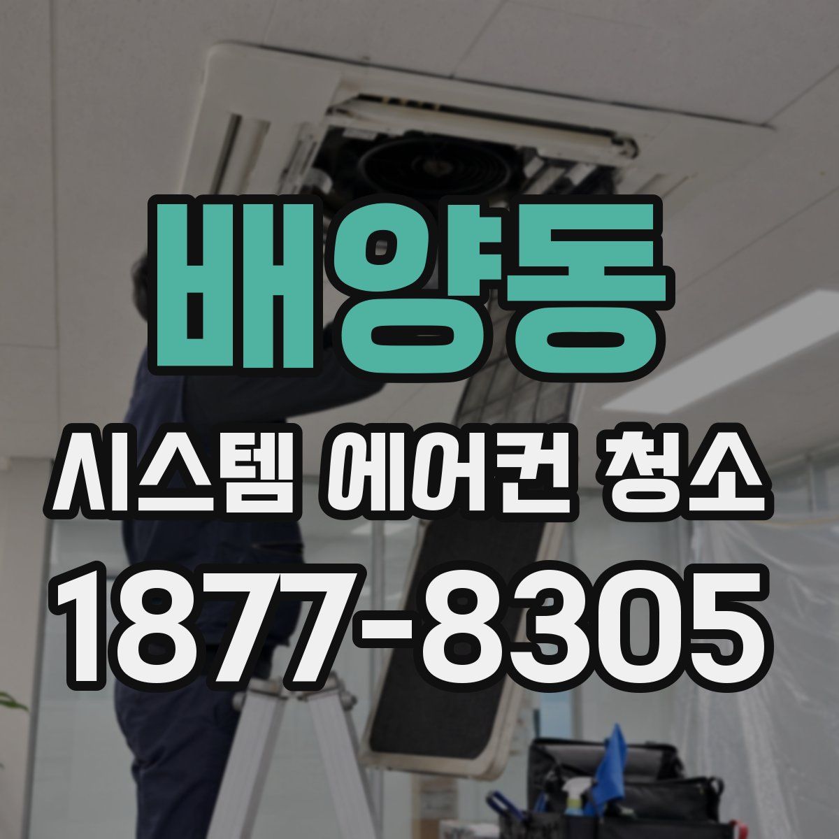 배양동 시스템 에어컨 청소