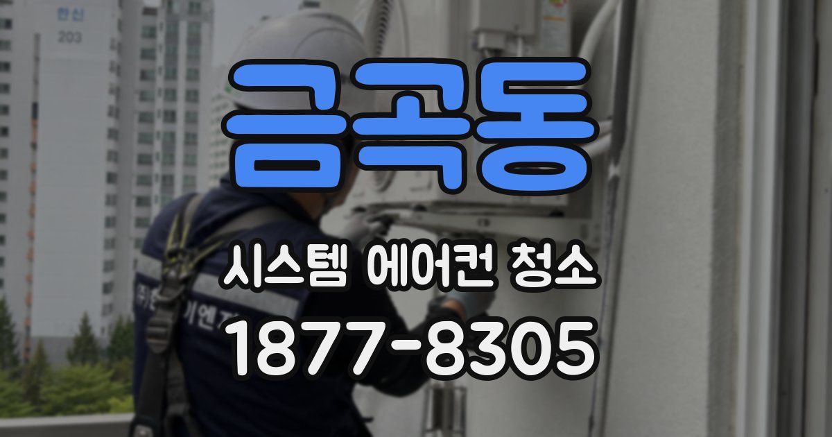 금곡동 시스템 에어컨 청소