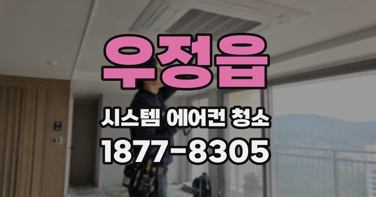 우정읍 시스템 에어컨 청소