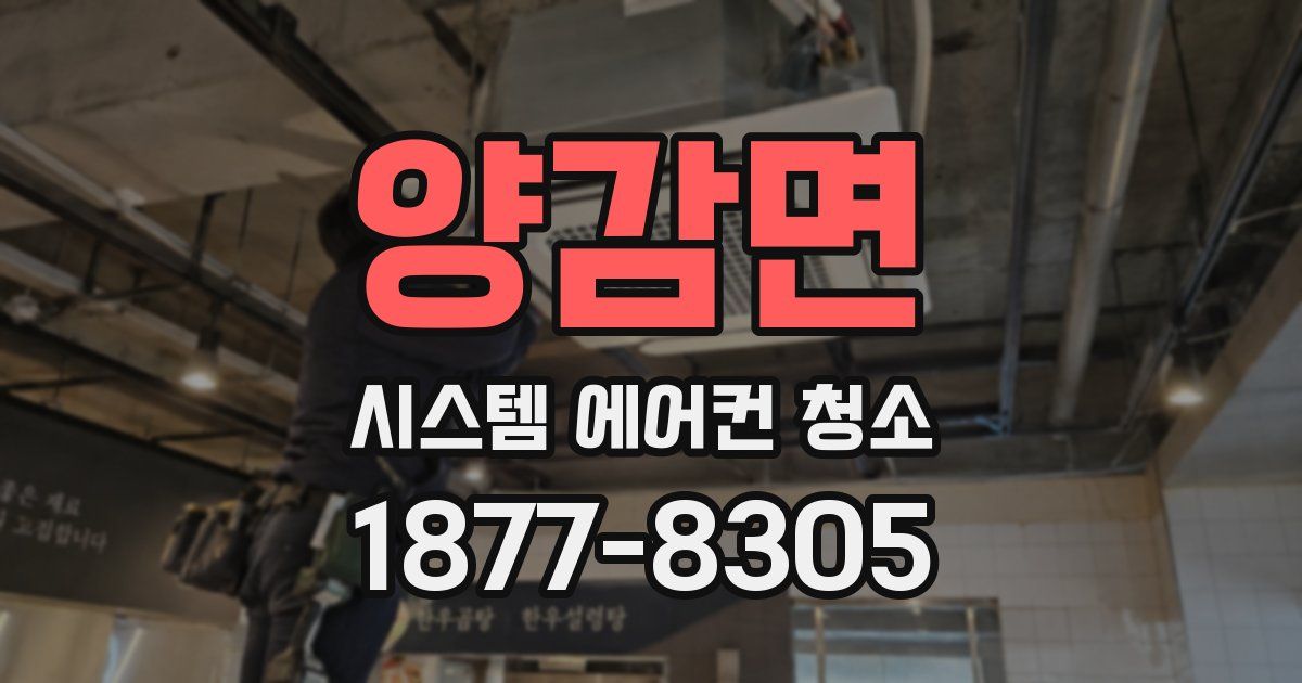 양감면 시스템 에어컨 청소