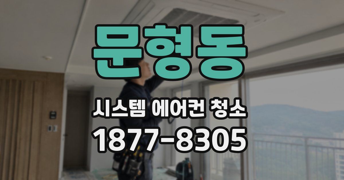 문형동 시스템 에어컨 청소