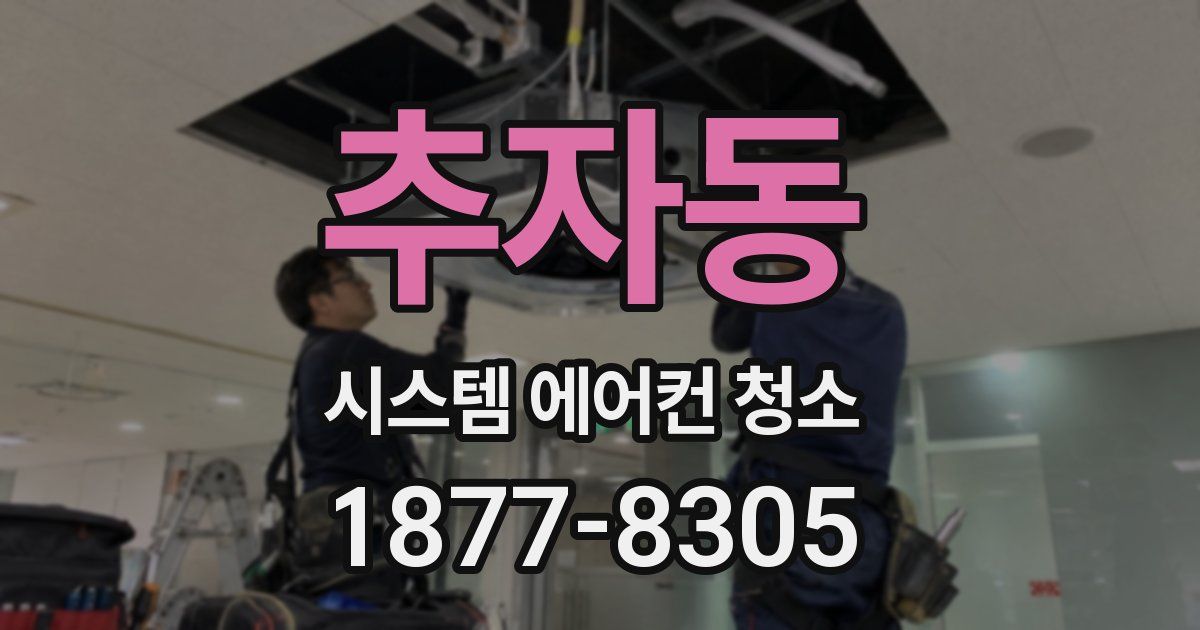 추자동 시스템 에어컨 청소