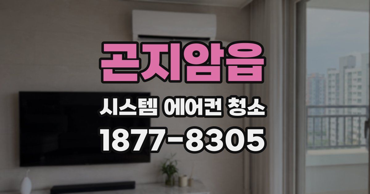 곤지암읍 시스템 에어컨 청소