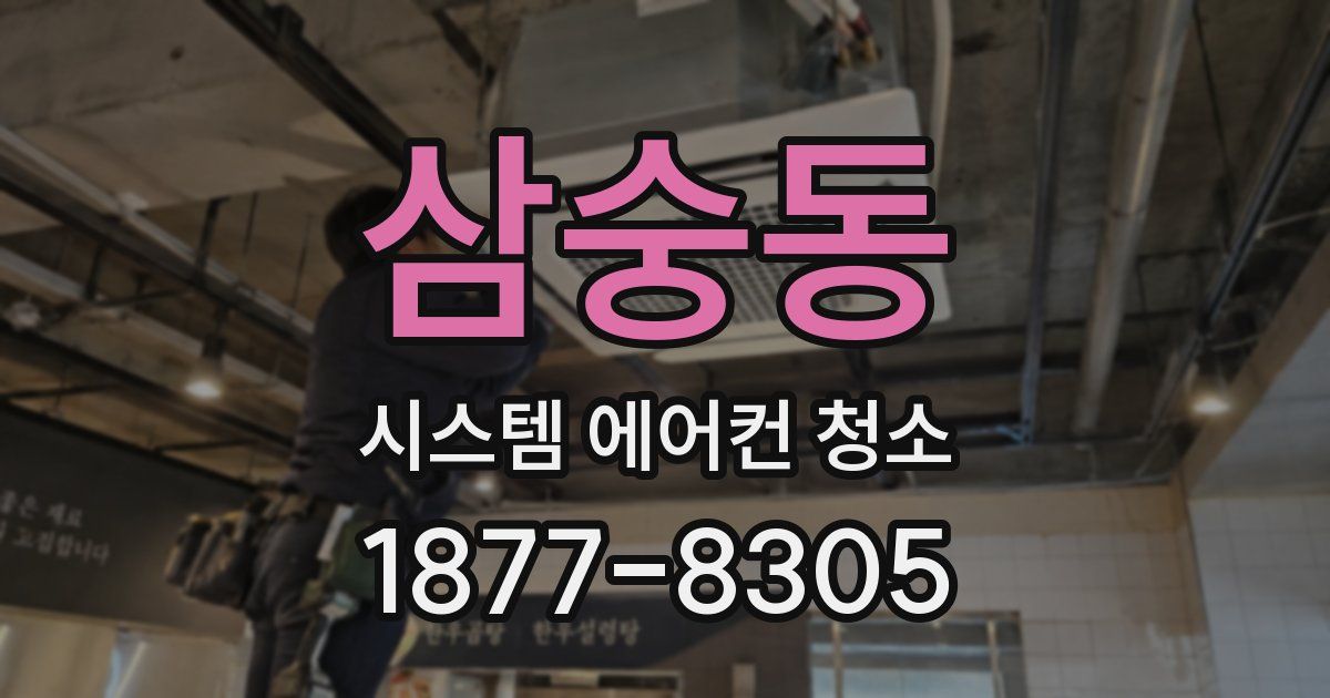 삼숭동 시스템 에어컨 청소
