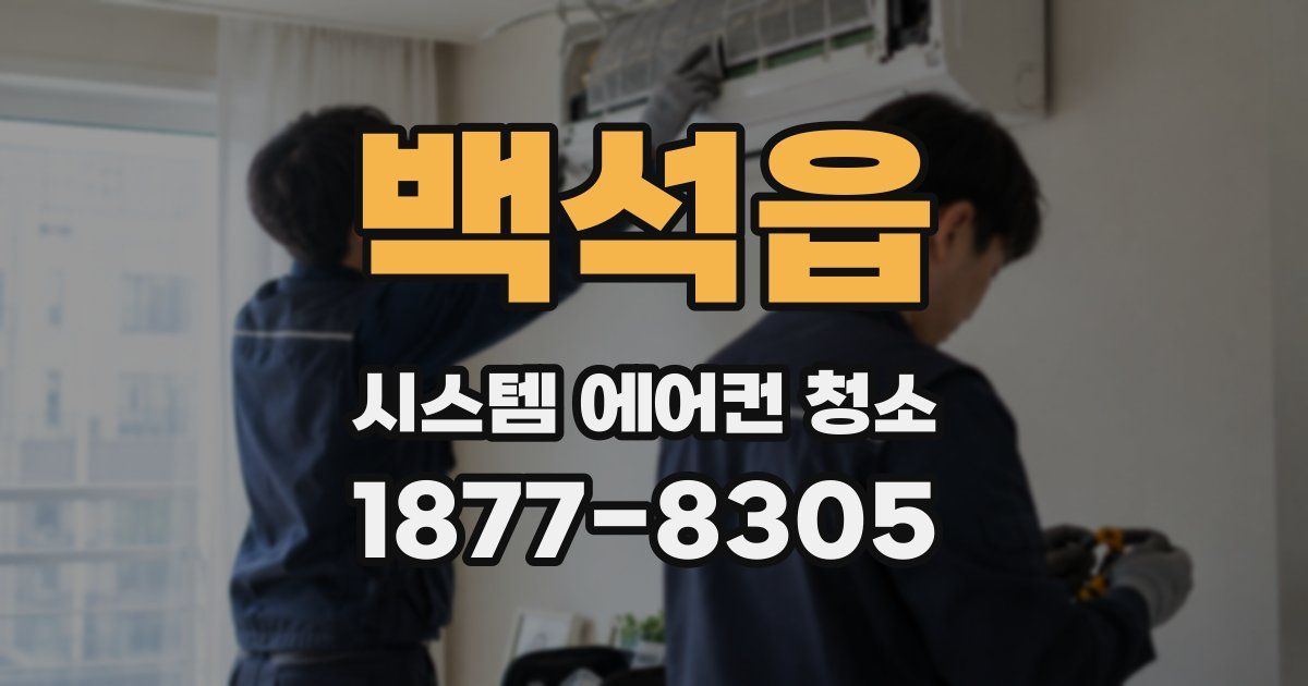 백석읍 시스템 에어컨 청소