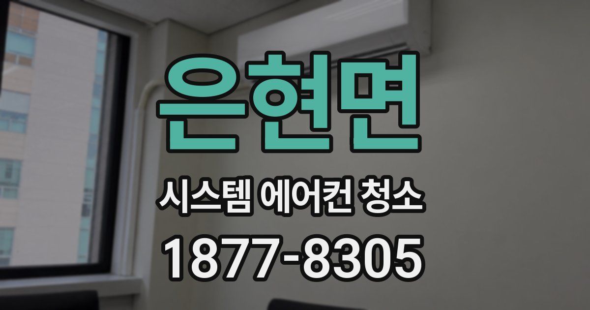 은현면 시스템 에어컨 청소