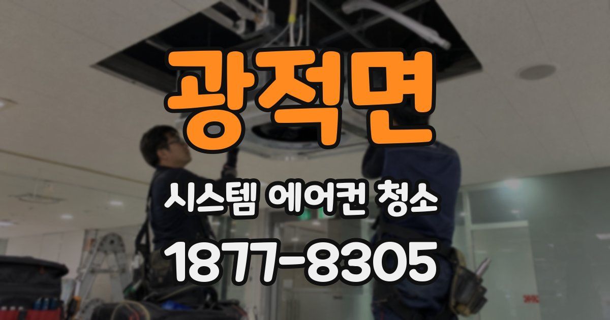 광적면 시스템 에어컨 청소