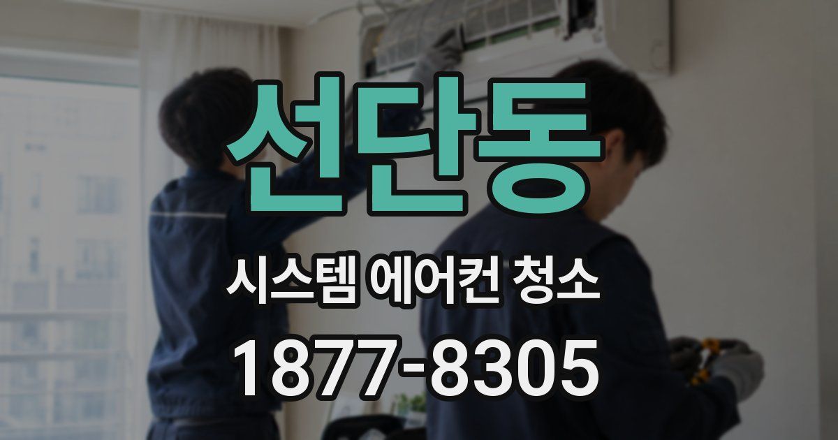 선단동 시스템 에어컨 청소
