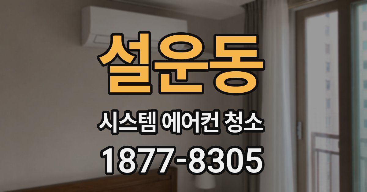 설운동 시스템 에어컨 청소