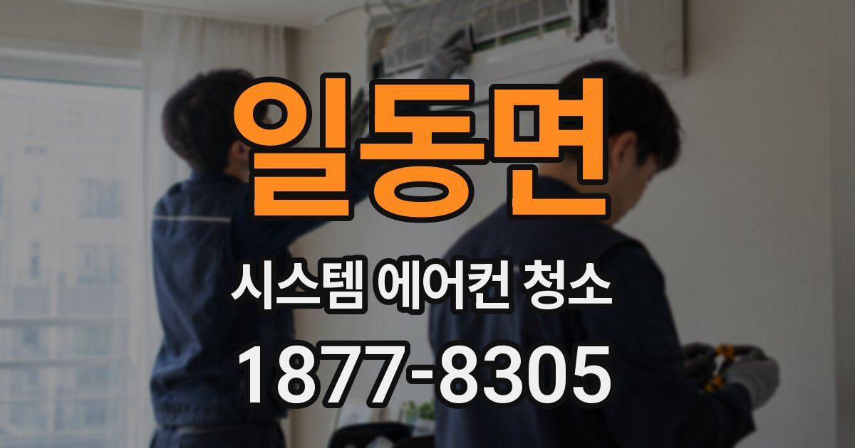 일동면 시스템 에어컨 청소