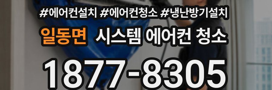 일동면 시스템 에어컨 청소