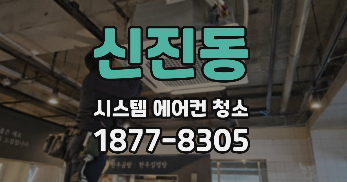 신진동 시스템 에어컨 청소