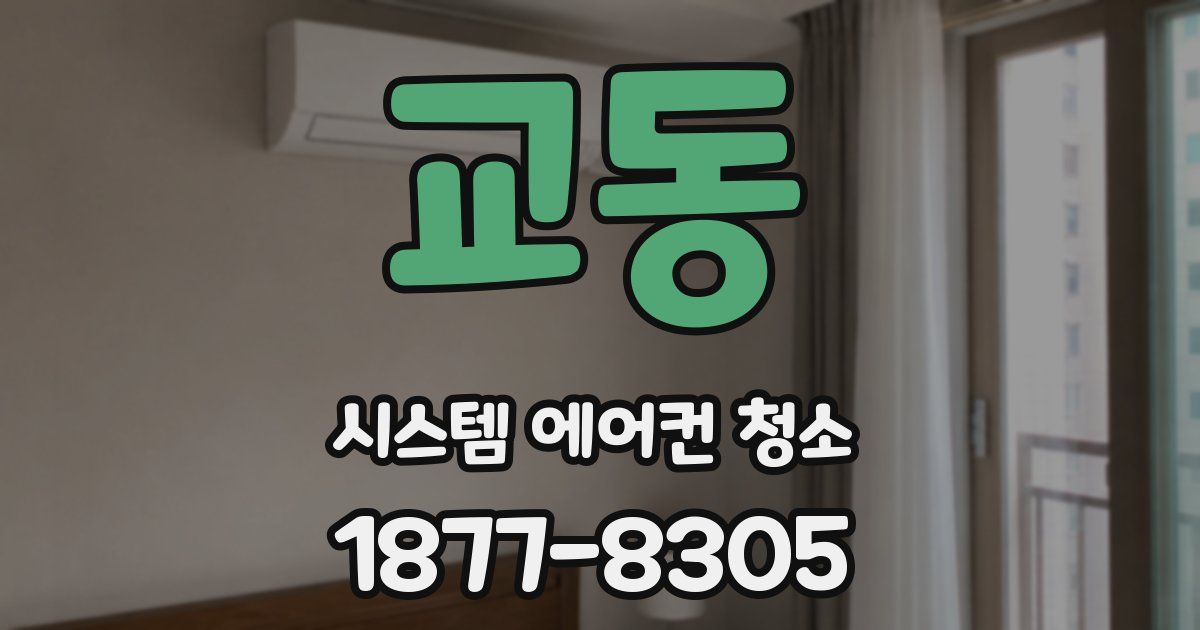 교동 시스템 에어컨 청소