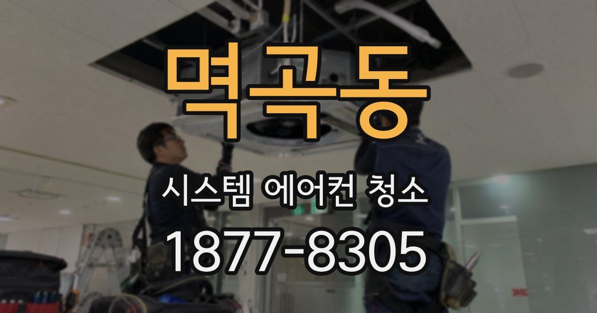 멱곡동 시스템 에어컨 청소