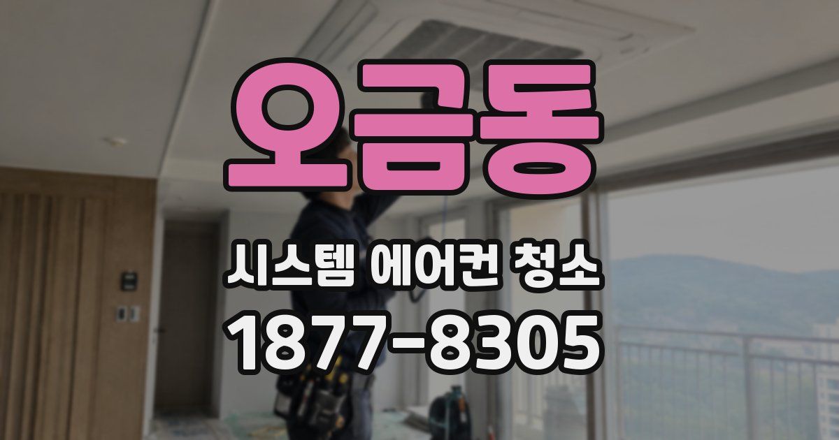 오금동 시스템 에어컨 청소