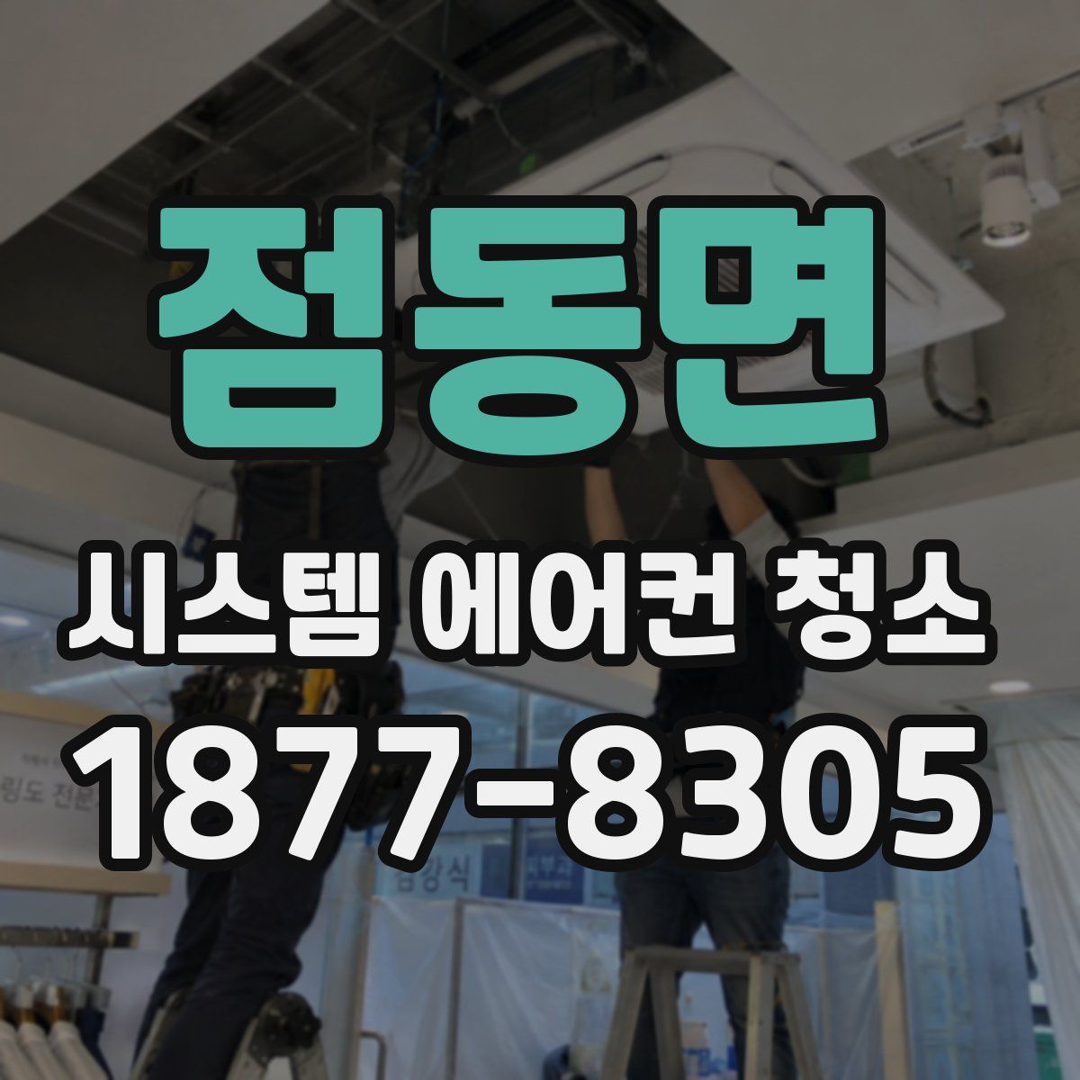 점동면 시스템 에어컨 청소