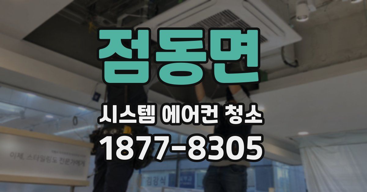 점동면 시스템 에어컨 청소