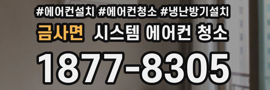 금사면 시스템 에어컨 청소