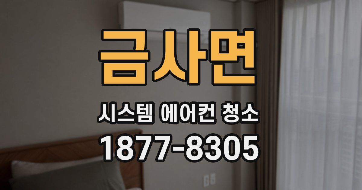 금사면 시스템 에어컨 청소