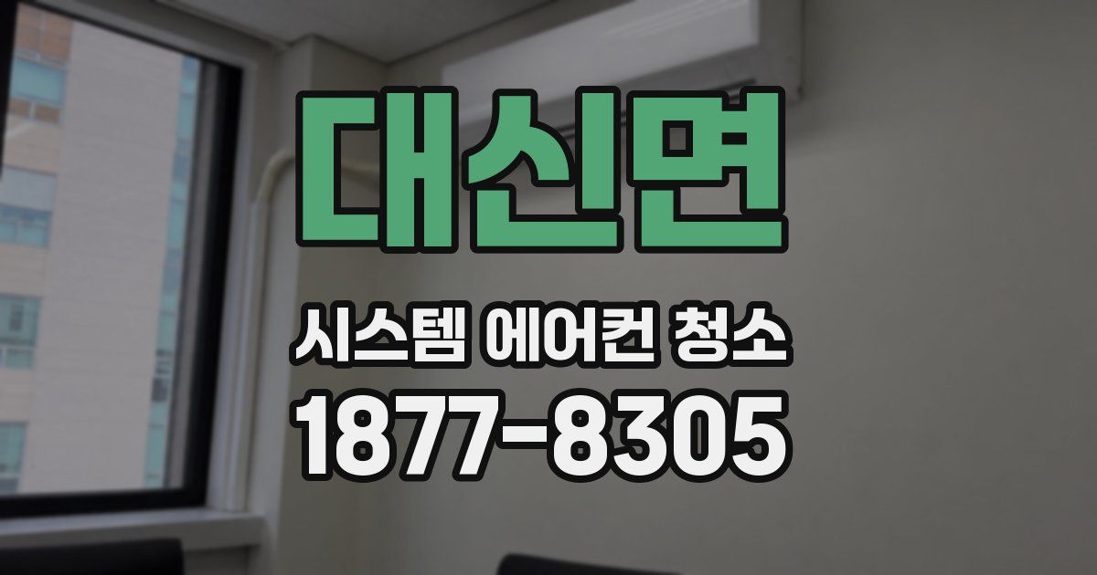 대신면 시스템 에어컨 청소