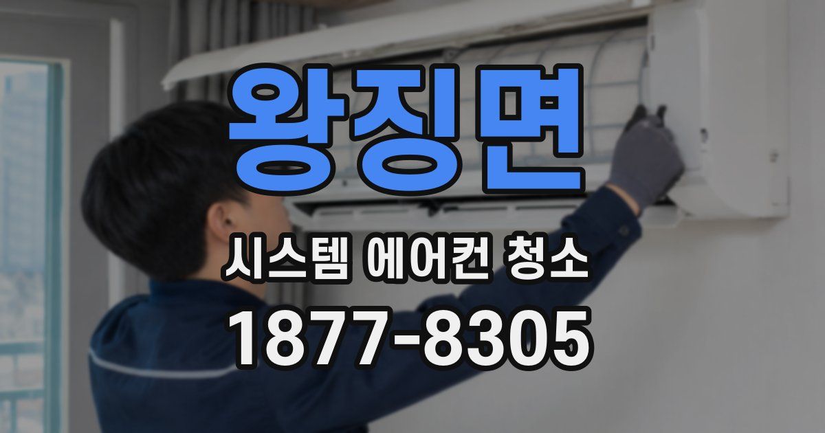 왕징면 시스템 에어컨 청소