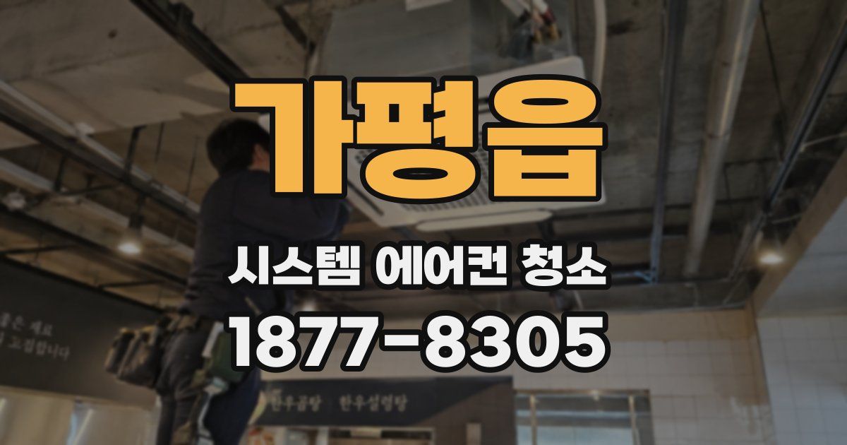 가평읍 시스템 에어컨 청소