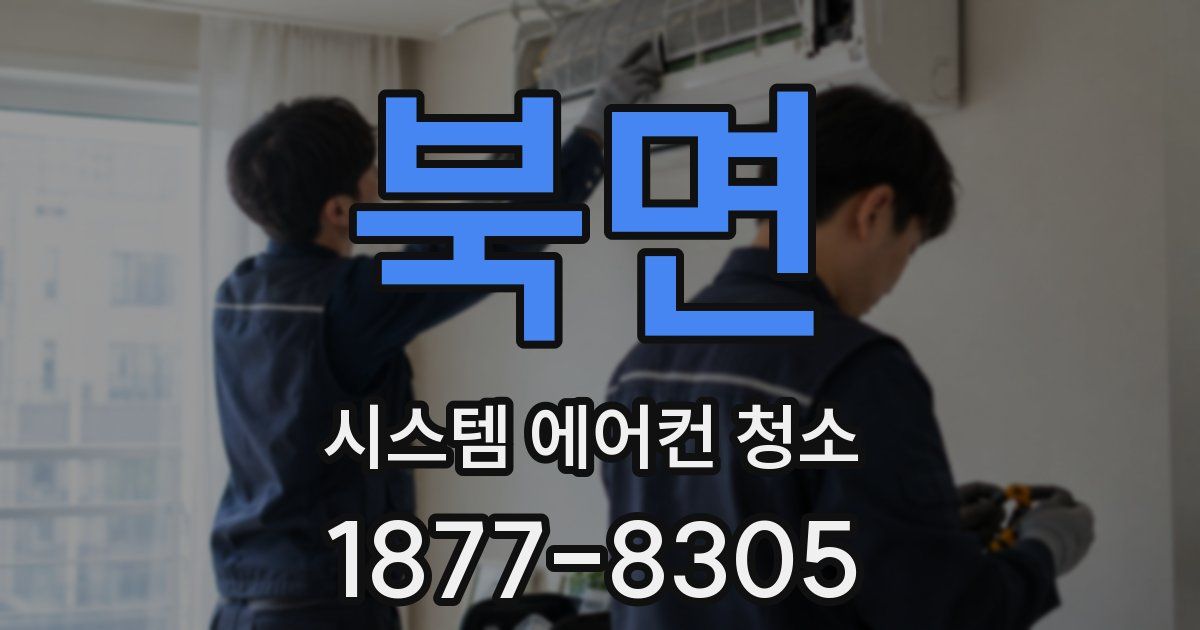 북면 시스템 에어컨 청소