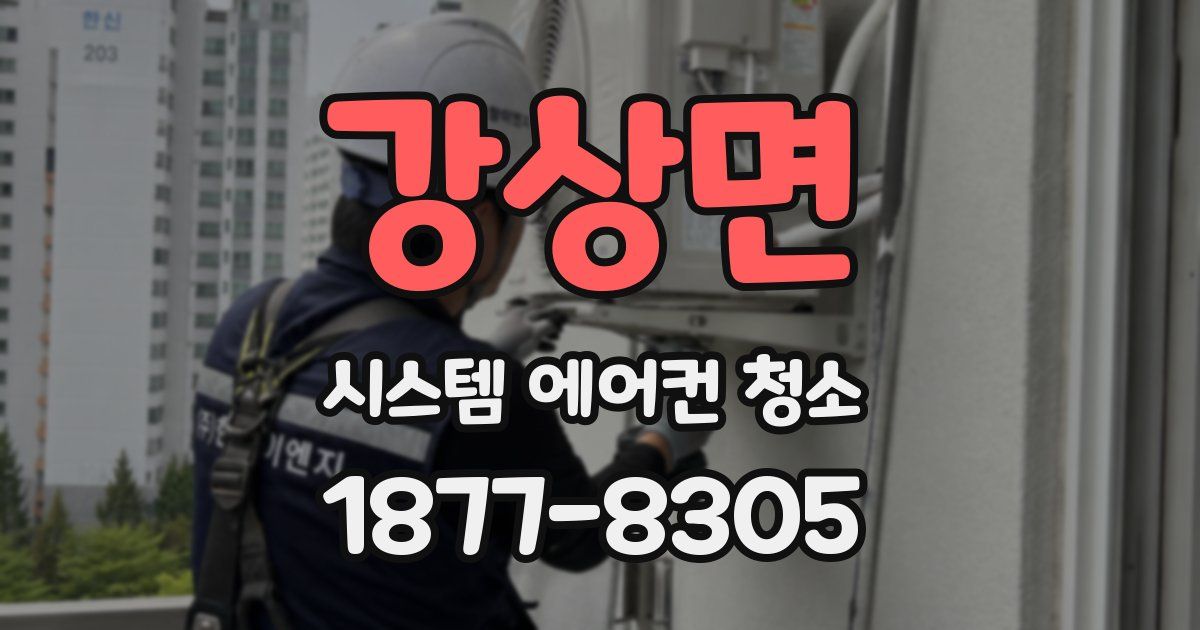 강상면 시스템 에어컨 청소