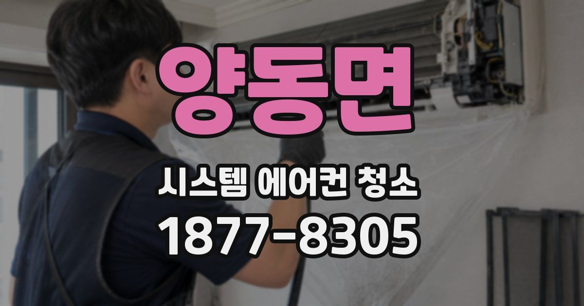 양동면 시스템 에어컨 청소