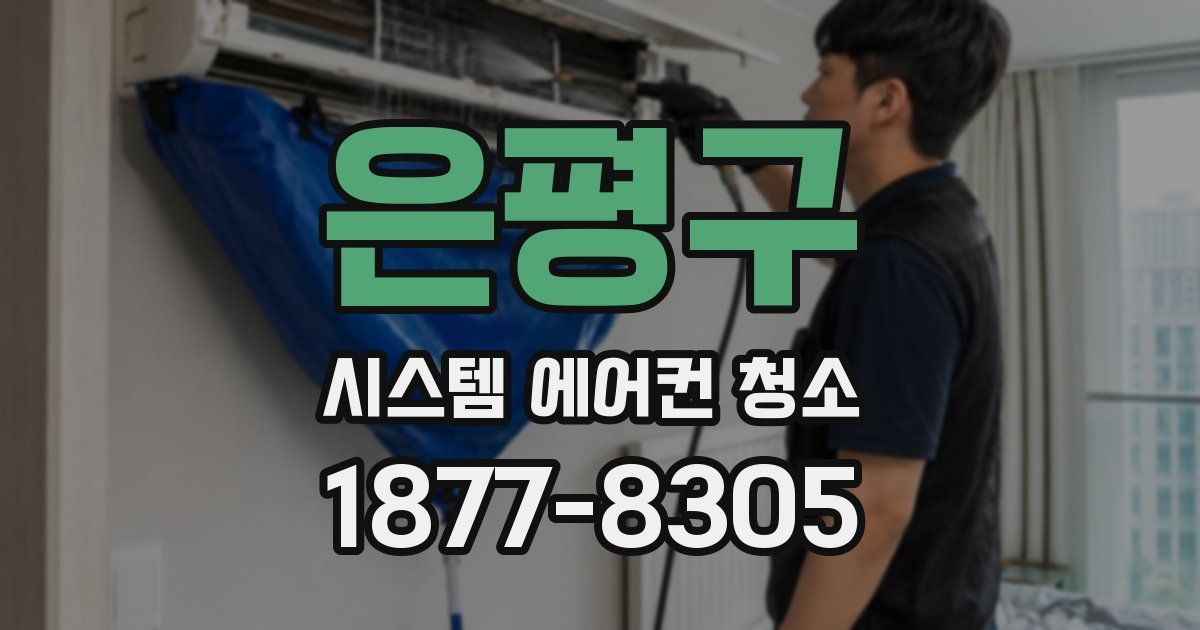 은평구 시스템 에어컨 청소