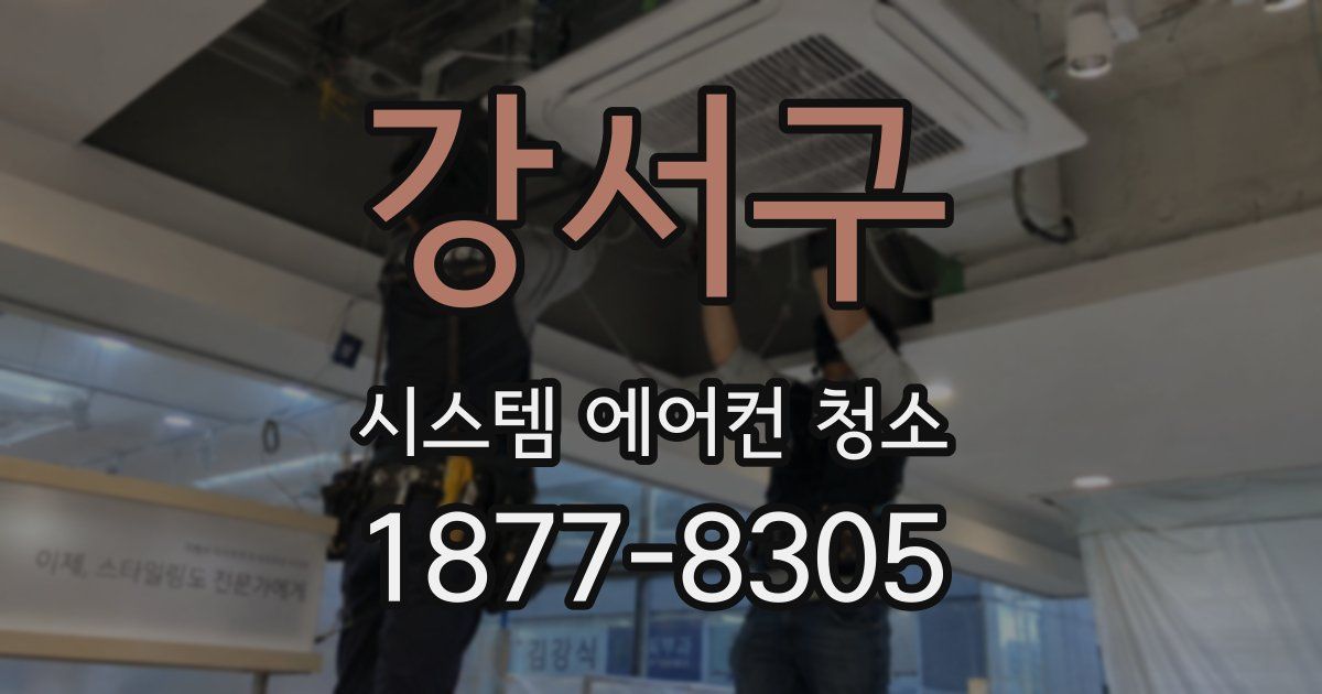 강서구 시스템 에어컨 청소