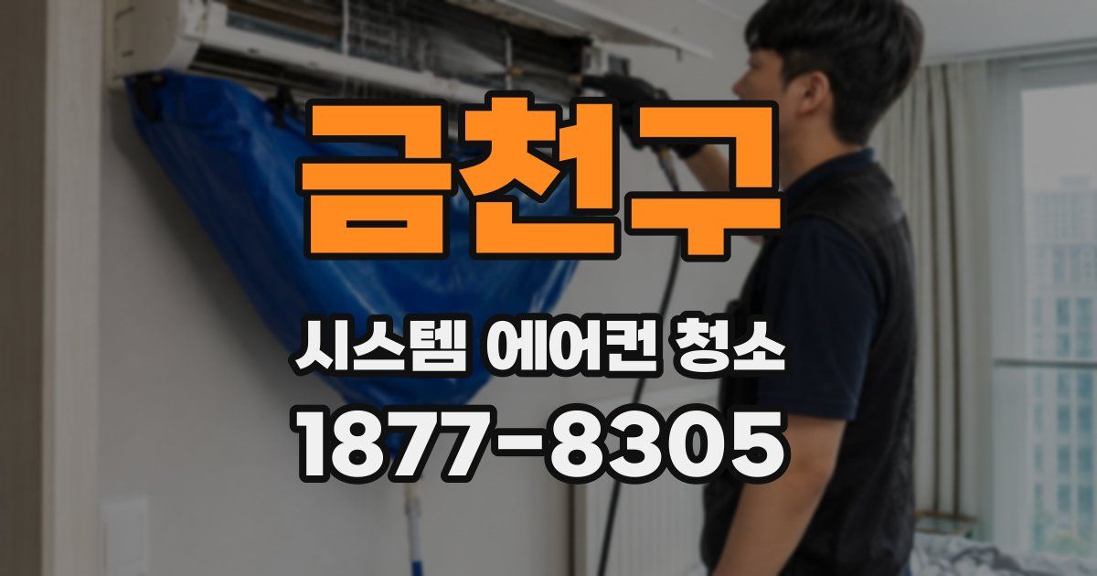 금천구 시스템 에어컨 청소
