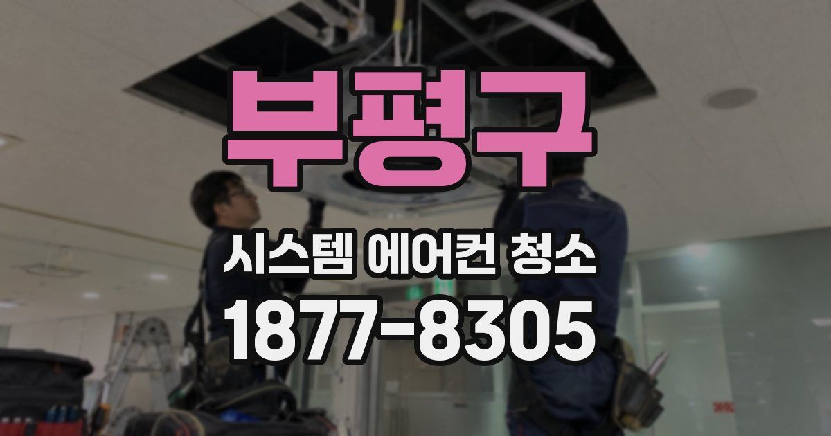부평구 시스템 에어컨 청소