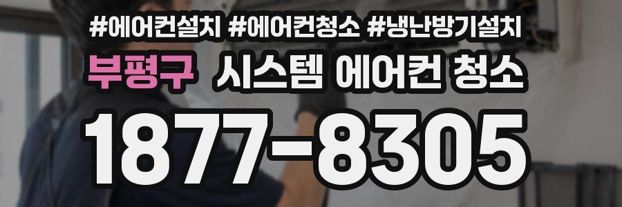 부평구 시스템 에어컨 청소