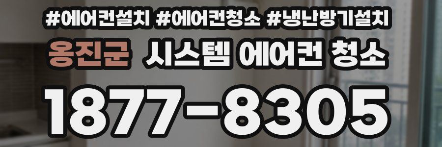 옹진군 시스템 에어컨 청소
