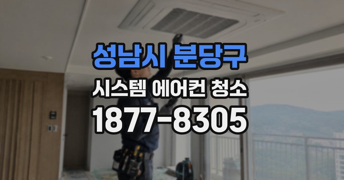 성남시 분당구 시스템 에어컨 청소