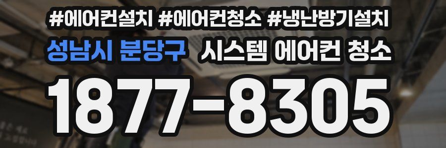 성남시 분당구 시스템 에어컨 청소