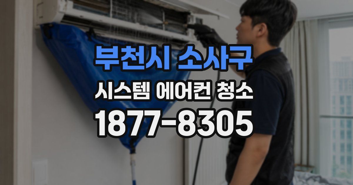 부천시 소사구 시스템 에어컨 청소