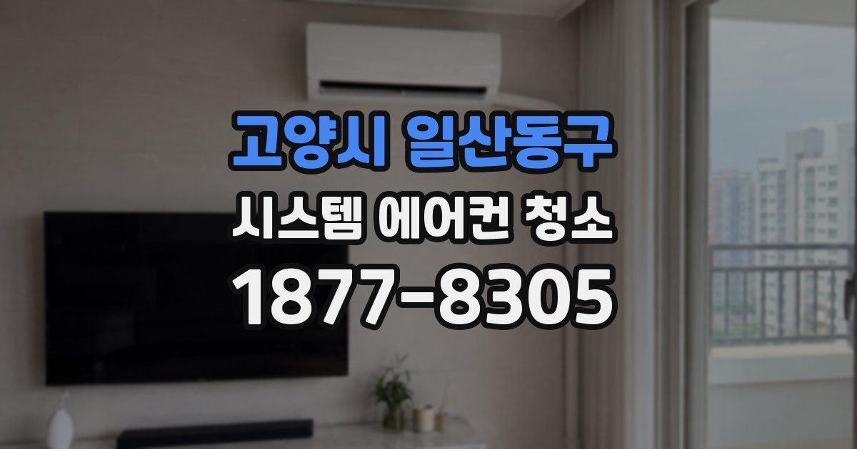 고양시 일산동구 시스템 에어컨 청소