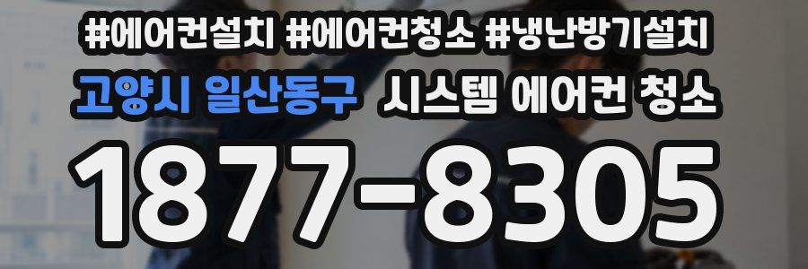 고양시 일산동구 시스템 에어컨 청소
