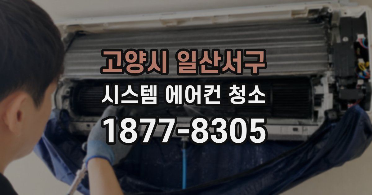 고양시 일산서구 시스템 에어컨 청소