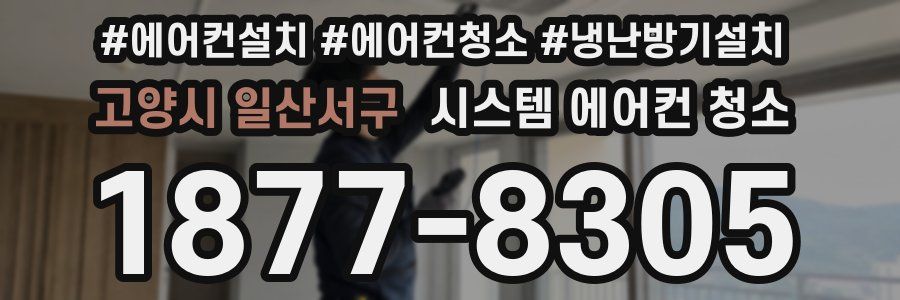고양시 일산서구 시스템 에어컨 청소