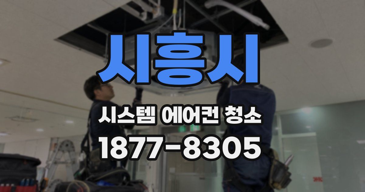 시흥시 시스템 에어컨 청소