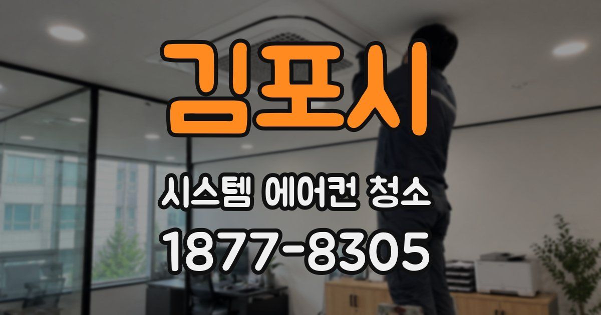 김포시 시스템 에어컨 청소