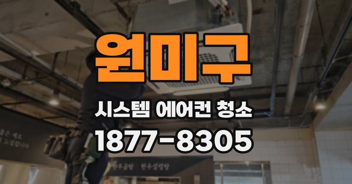 원미구 시스템 에어컨 청소