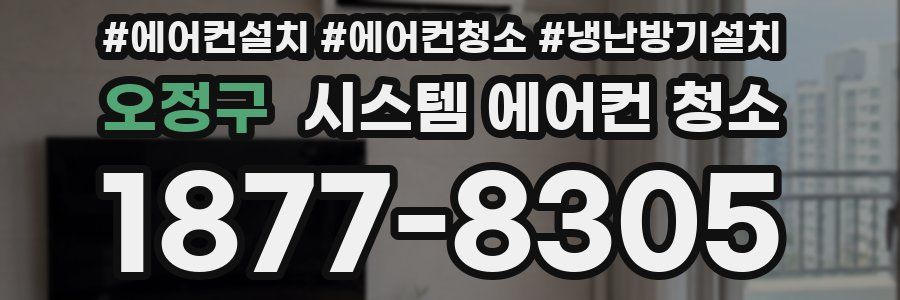 오정구 시스템 에어컨 청소